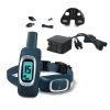 PetSafe 300 Yard Remote Trainer - PDT00-16117